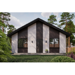 Одноэтажный дом с тремя спальнями 75м² (S24)