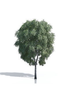 Billboards Дерево летнее_21