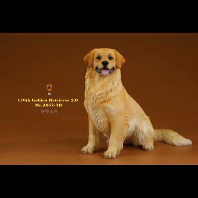 Золотистый ретривер (сидящий) - Коллекционная ФИГУРКА 1/6 scale Animal Model Golden Retriever 2.0 (MRZ057-3B) - Mr.Z