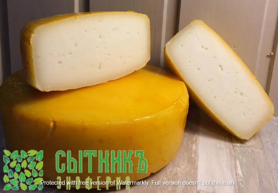 Твердый козий сыр домашний фермерский