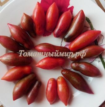 Гном розовая пантера фото