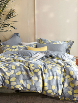 Постельное белье TANGO семейное сатин 160x210x2 230x250x1 50x70x2 TS05-X206-50