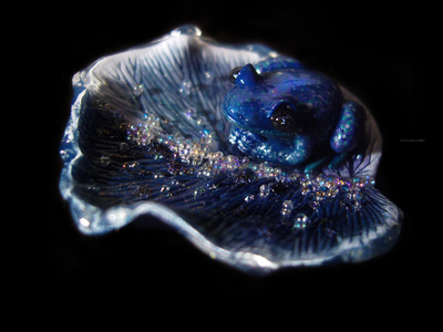 Волшебная брошь с лягушкой "Рассыпая звёздную пыль..."