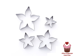 Набор каттеров для цветов Чашелистник, 4 шт.