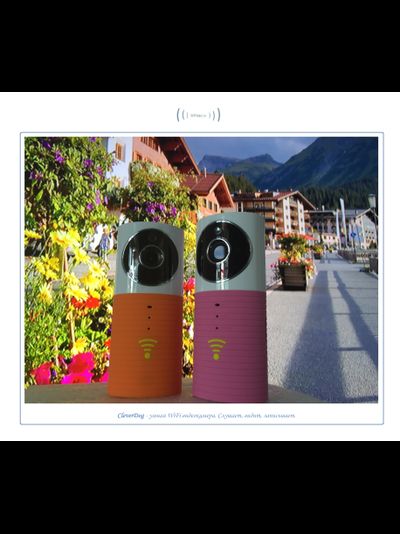Видеоняня /WiFi видеокамера CleverDog Rose с DVR