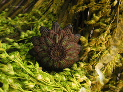 "Лесной всполох", кольцо-цветок из Зачарованного леса