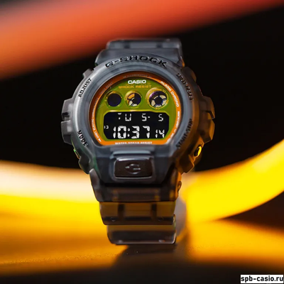 Часы Casio G-Shock DW-6900LS-1ER