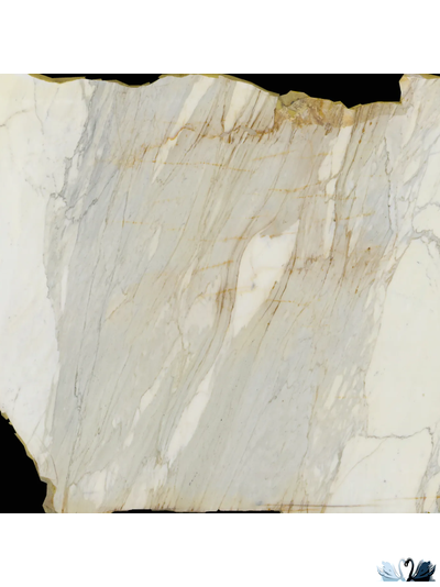 Керамогранит Stellare Ceramica Carrara Bronze 60x60 см белый матовый