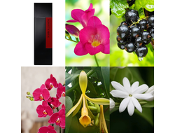 LM Parfums Radikal Jasmine