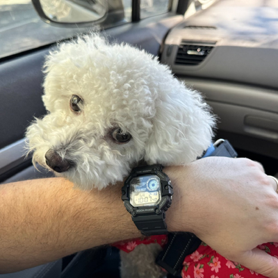 Часы Casio WS-1700H-1A