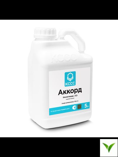 Аккорд КЭ 5 л