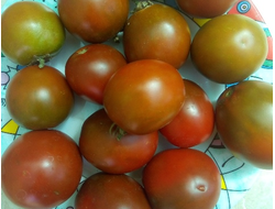 Томат Словенский черный  (Slovenian Black) США