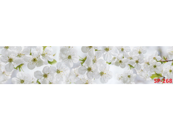 SP-268 Глянцевая стеновая панель ALBICO  2800*610*6мм.