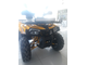 MOTOLAND WILD TRACK X 200