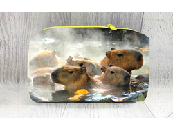 Косметичка Капибара, Kapibara-san №17