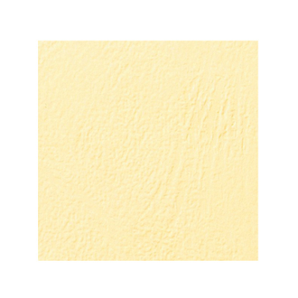Обложки для переплета картонные GBC сл.кость кожа, А4, 250г/м2, 100 штук в упаковке