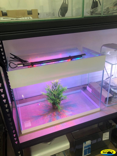 Аквариумный прямоугольный комплекс 100 (Тип тумбы 5)