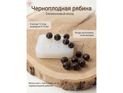 Силиконовый молд "Черноплодная рябина"