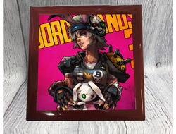 Шкатулка Borderlands, Бордерленд №2