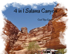 4 in 1 - Salama Canyon + Blue Hole + camel ride + Dahab