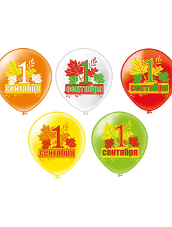 Шар 1 сентября с рисунком 12 дюймов