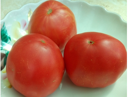 Томат Большой Серж (Grosse Serge)