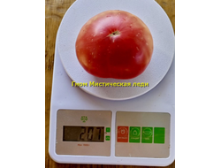 Томат Таинственная леди Dwarf Mystic Lady, Мистическая леди)