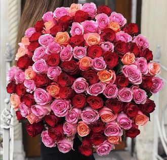 Букет 101 роза три цвета с лентами