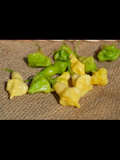 Перец острый Dulce Luna (Дольче Луна), 10 шт