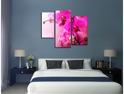 Модульная картина "Прекрасный цветок орхидеи"