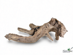 SwetAqua Chinese Sunken EXCLUSIVE 8033 (560х250х160 мм) - Натуральная коряга "Китайская затонувшая" EXCLUSIVE