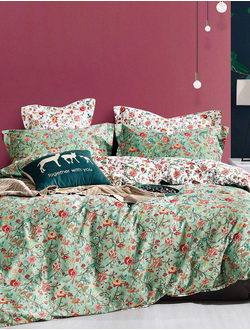 Постельное белье CRISTELLE AMANTE комплект сатин евро 200x220x1 230x250x1 50x70x2 70x70x2 AM04-138
