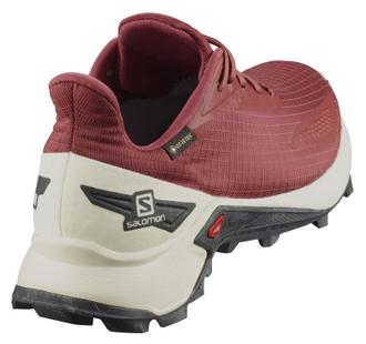 Кроссовки SALOMON ALPHACROSS BLAST GTX W Apple B  411065 (Размер: 5,5)