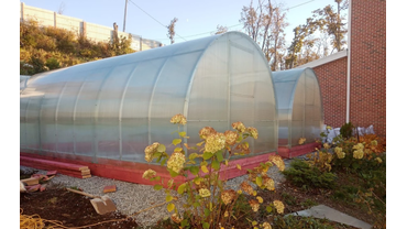 Теплицы «Дачница Усиленная»