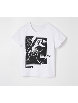 Футболка TimDim TD-6237