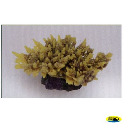 MA116PUY Коралл пластиковый желто-коричневый 14*11*6,5см