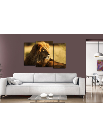 Модульная картина "Взгляд короля Саванны"