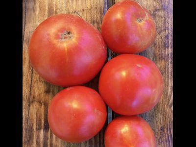 Томат Весенние заморозки
