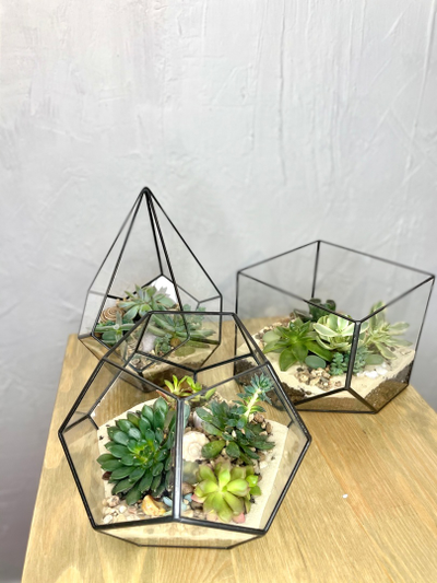 Флорариум, размер М