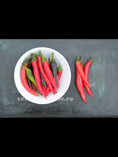 Перец сладкий Мурасаки Тогараши Ямато, 10 шт