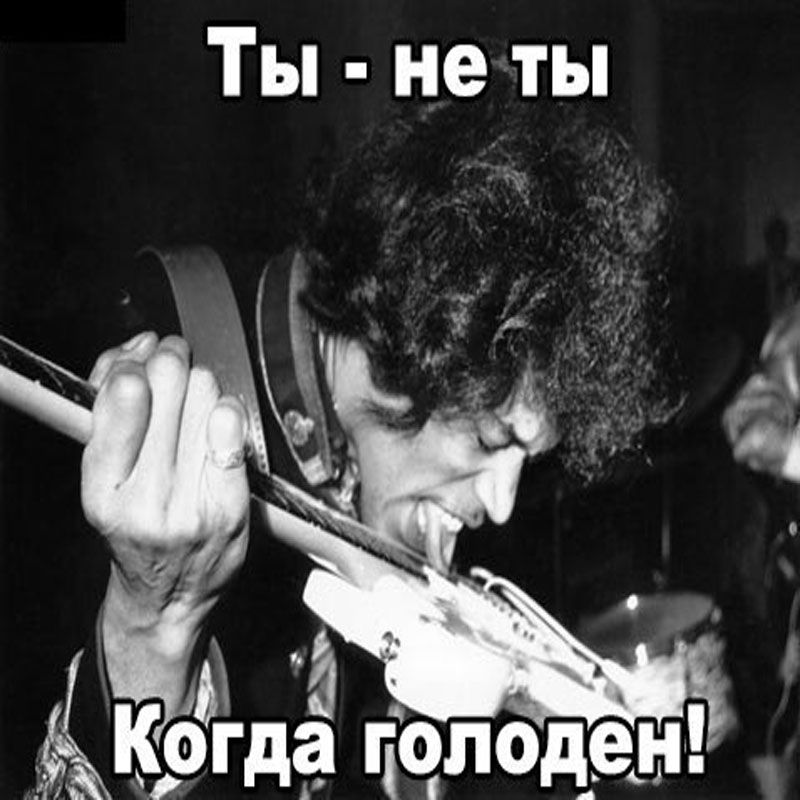 ты-не ты когда голоден