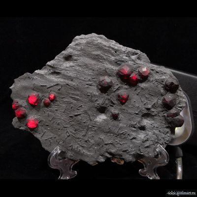 Гранат альмандин-пиропового ряда в графитовом сланце с кристаллами турмалина дравита. RedEmbers mine