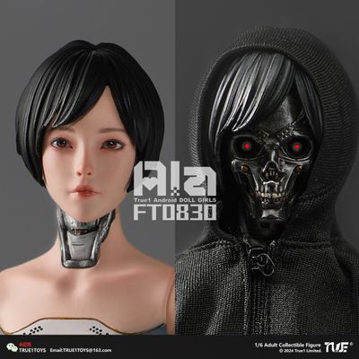 Девушка-киборг Ала - Коллекционная фигурка 1/6 Android Ala (FT0830) - True1Toys