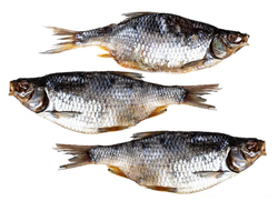 Плотва вяленая (Цимлянская)