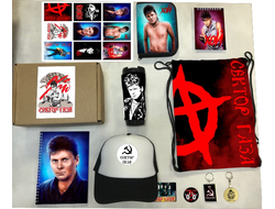 Бокс Сектор Газа, Юрий Хой №12