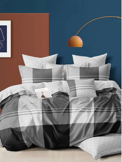 Постельное белье 2 спальное TANGO Dream Fly микросатин 180x210x1 220x245x1 50x70x2 DF02-512-50