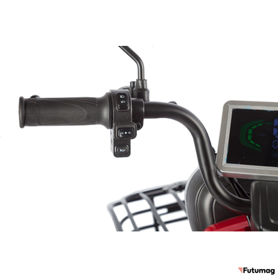 Электротрицикл Rutrike Gelbert Kappa 48V/60V 650Вт красный