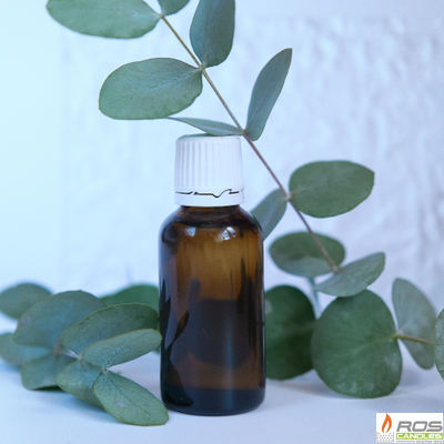 Эфирное масло для насыпных свечей "Эвкалипт", 30мл с дозатором