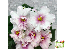 РМ-Ягодный Мармелад (Н.Скорнякова) 2019 г.