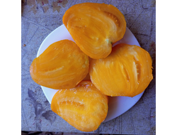 Томат Желтый клюв